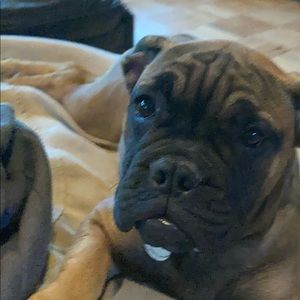 Meet your Posher, Natalie